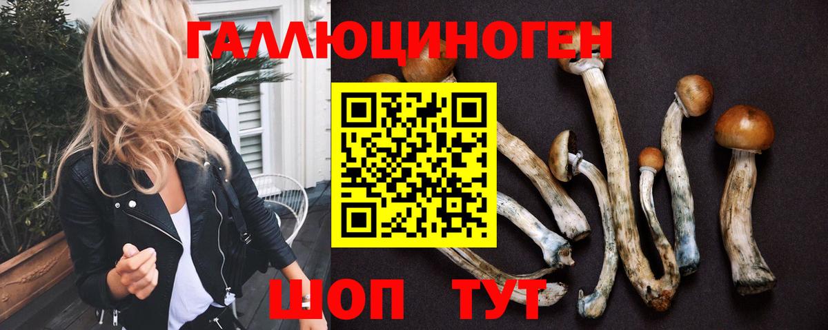 Псилоцибиновые грибы Psilocybe Салехард
